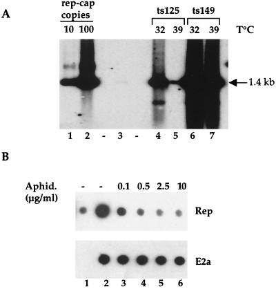 FIG. 5