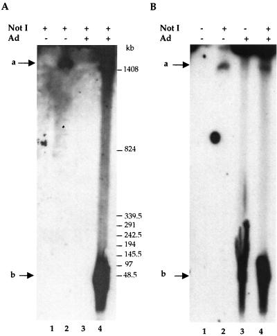 FIG. 4