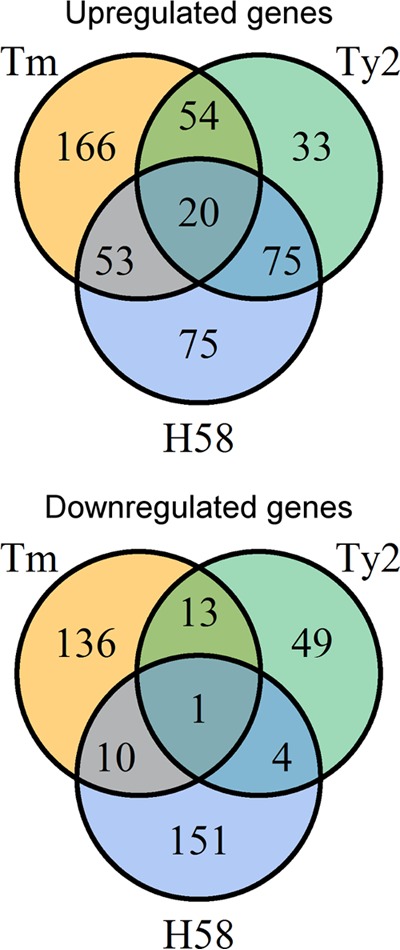 FIG 2