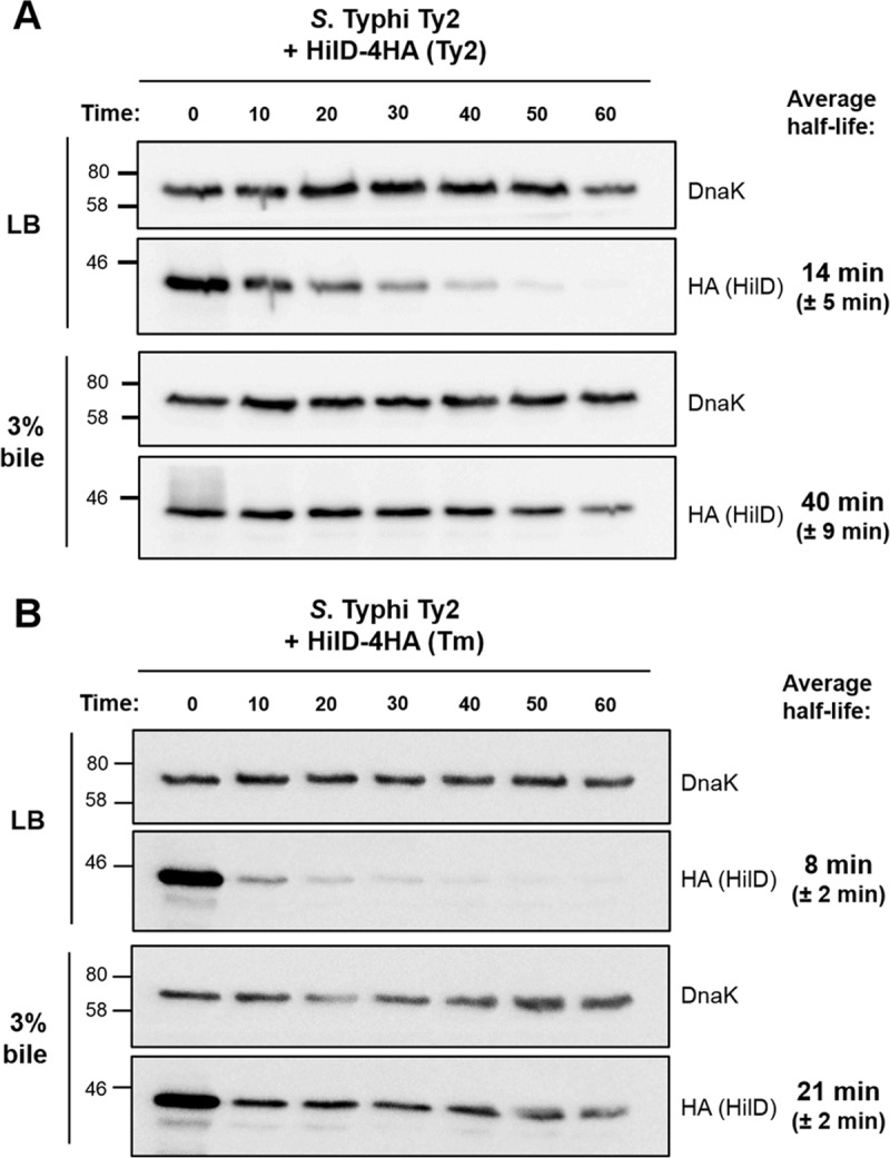 FIG 6