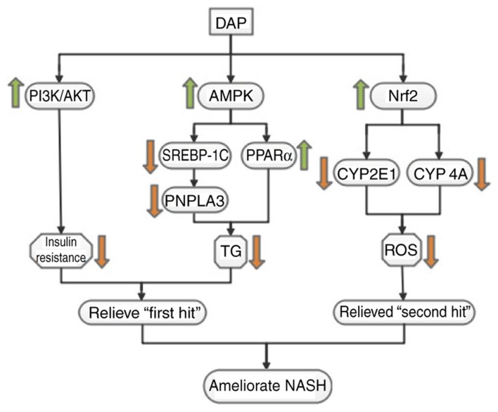 Figure 7.