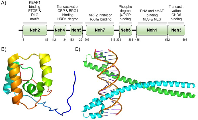 Figure 3.