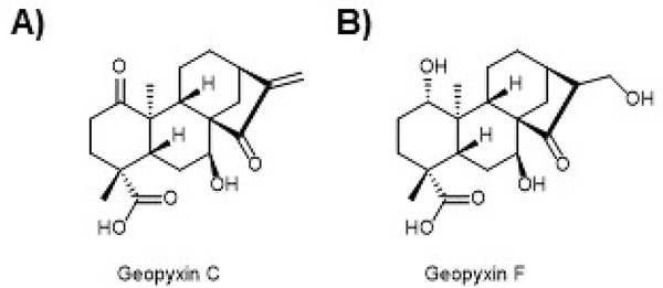 Figure 12.