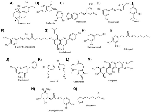 Figure 10.