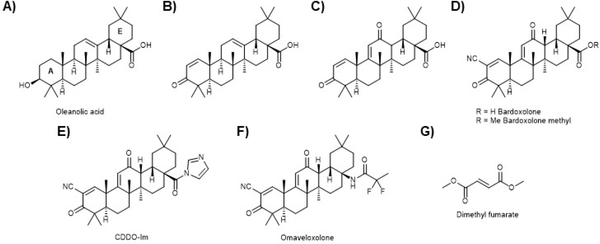 Figure 11.