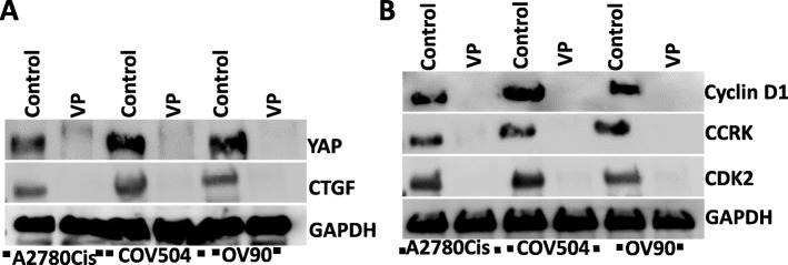 Fig. 5