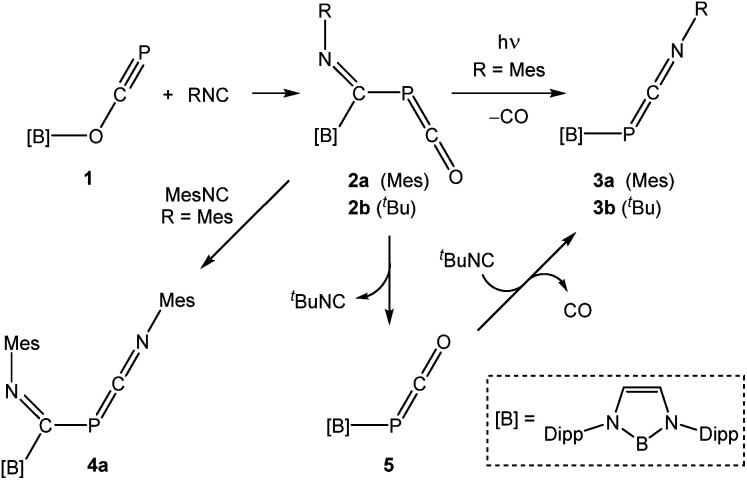 Scheme 1