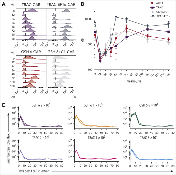 Figure 4.