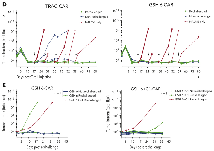 Figure 4.