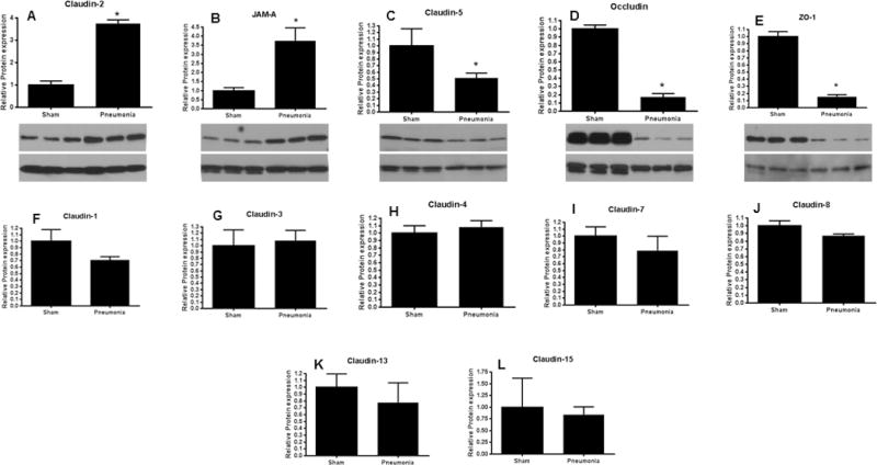 FIG. 7