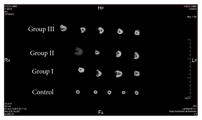 Figure 7