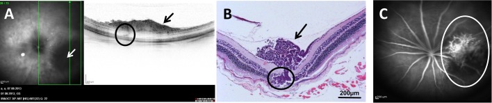 Fig. 3.