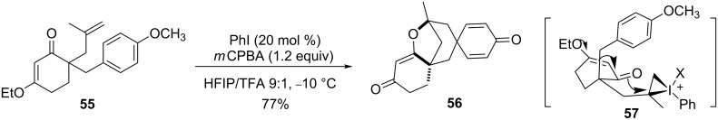 Scheme 17