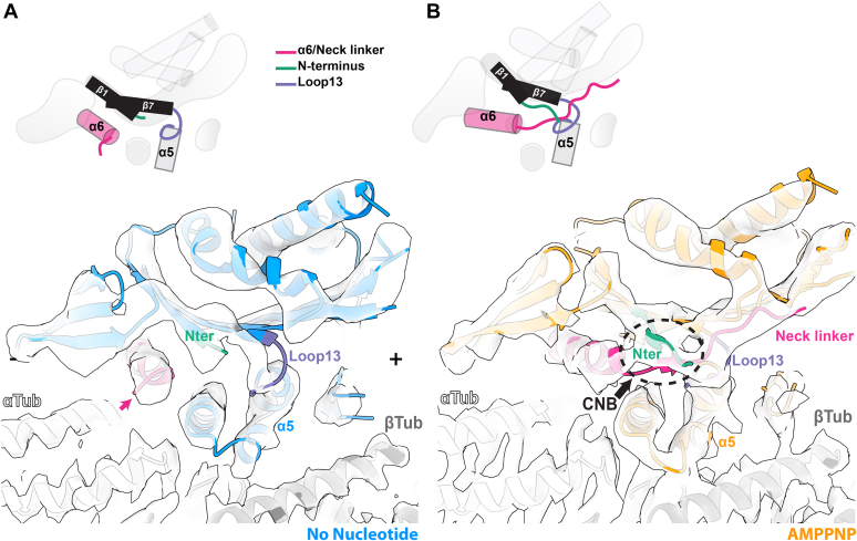 Figure 5