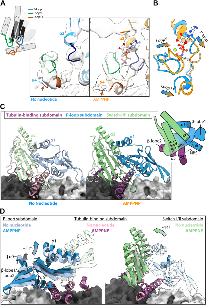 Figure 4