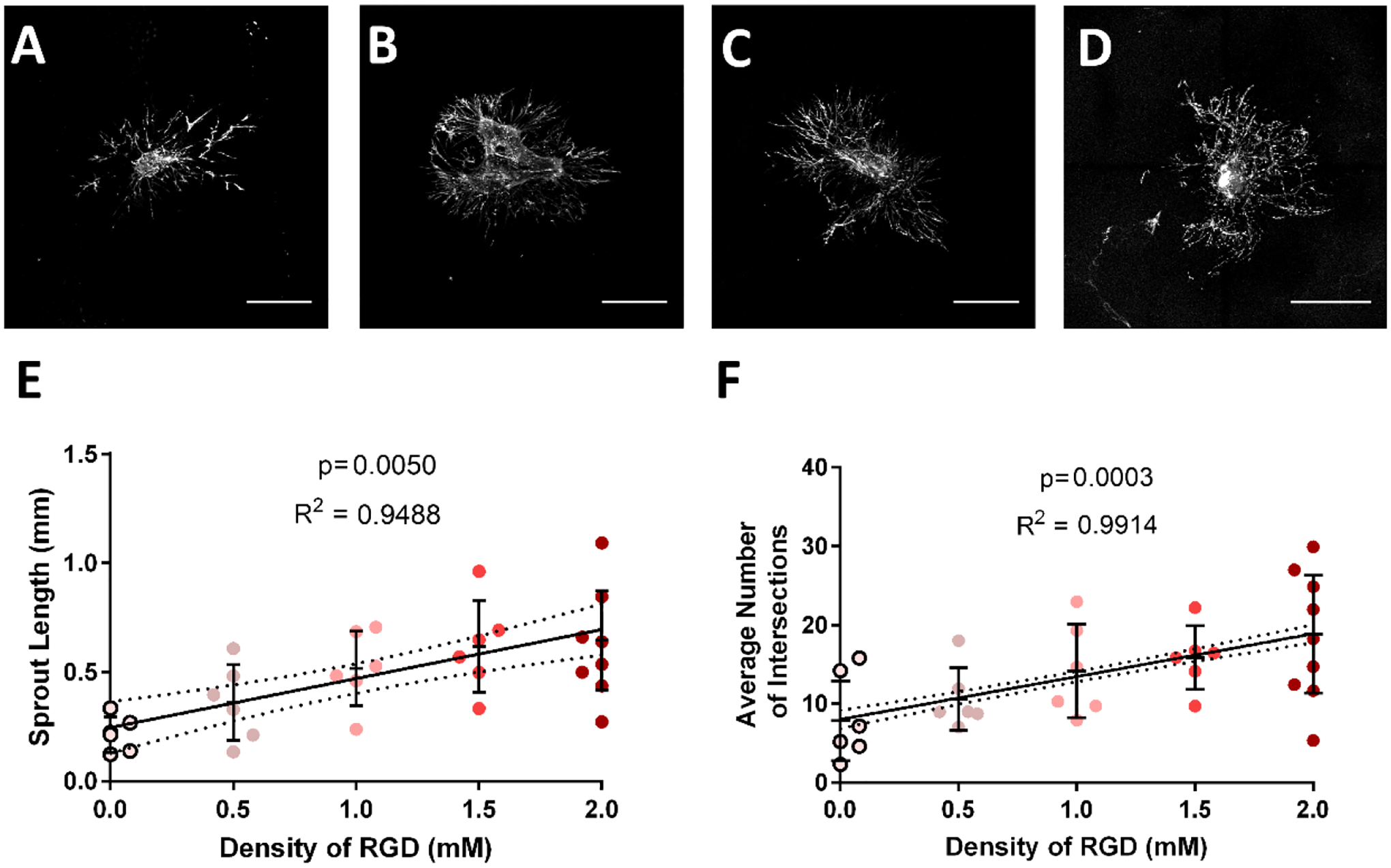 Figure 4: