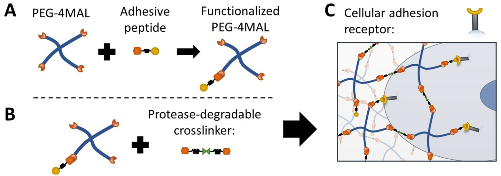 Figure 1: