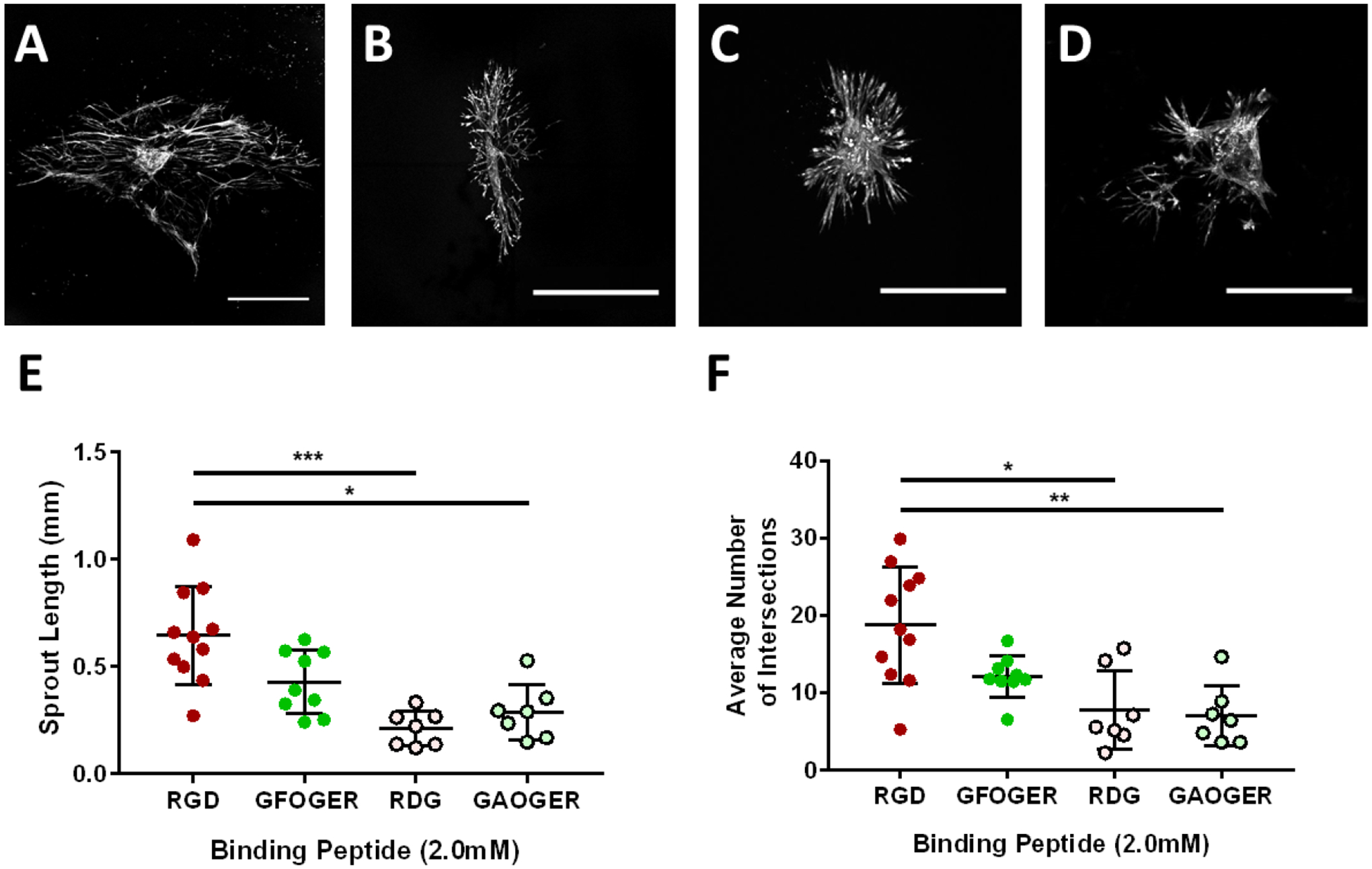 Figure 3: