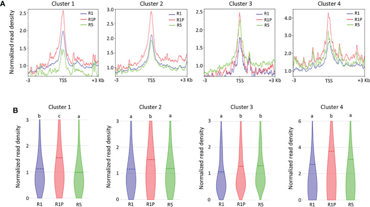 Figure 3