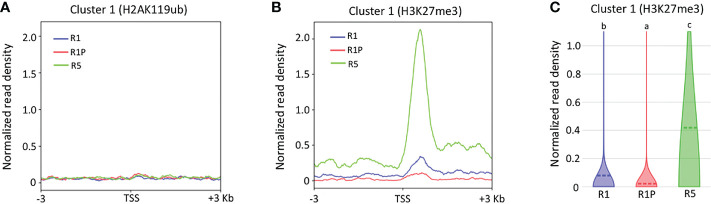 Figure 4