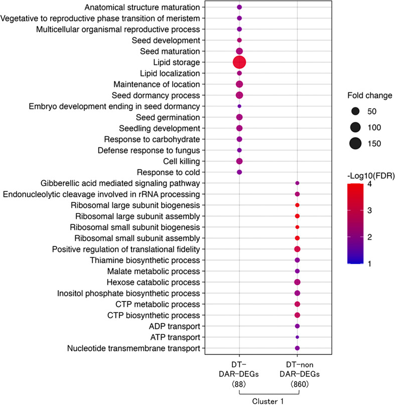 Figure 6