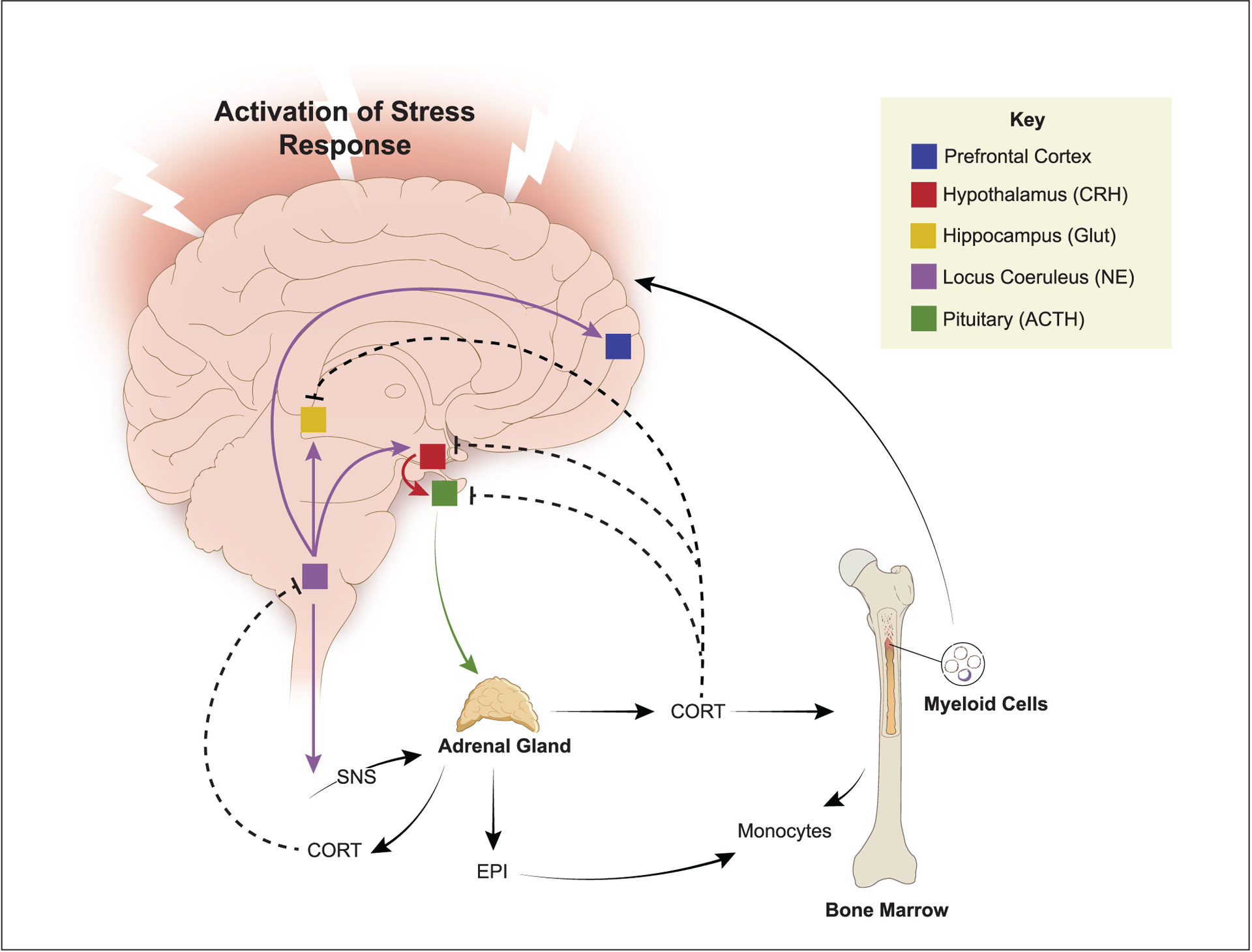 Figure 2.