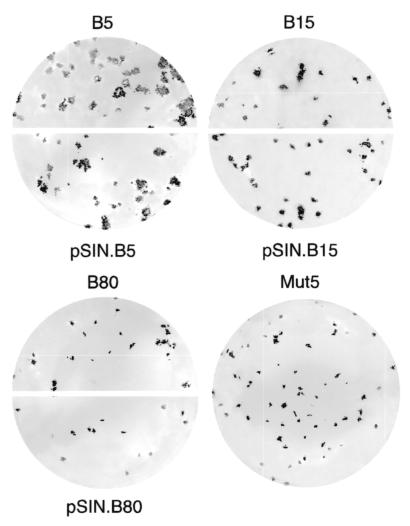 FIG. 3