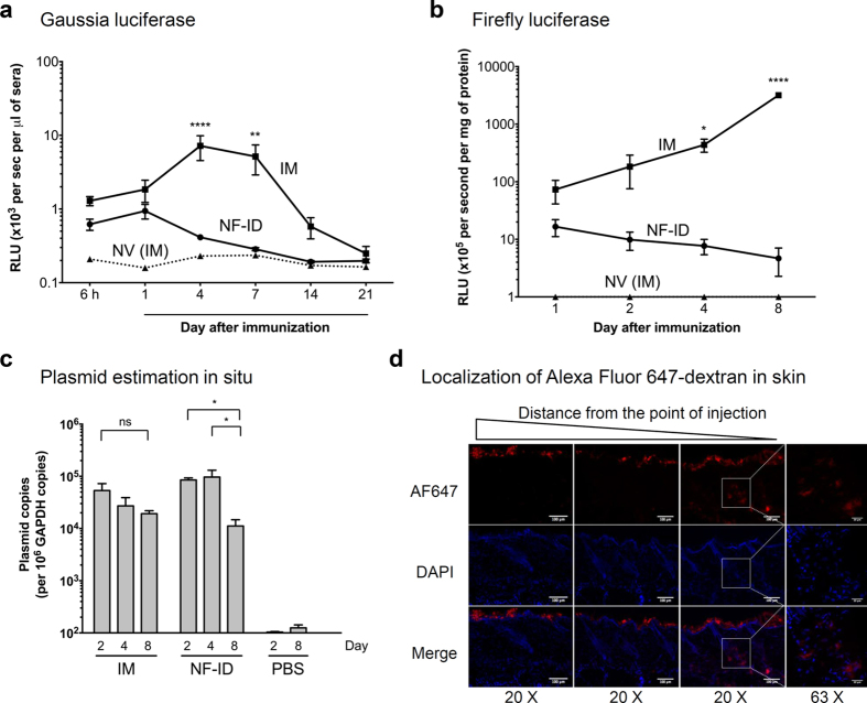 Figure 4