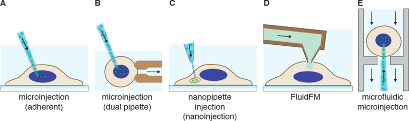 Figure 12.