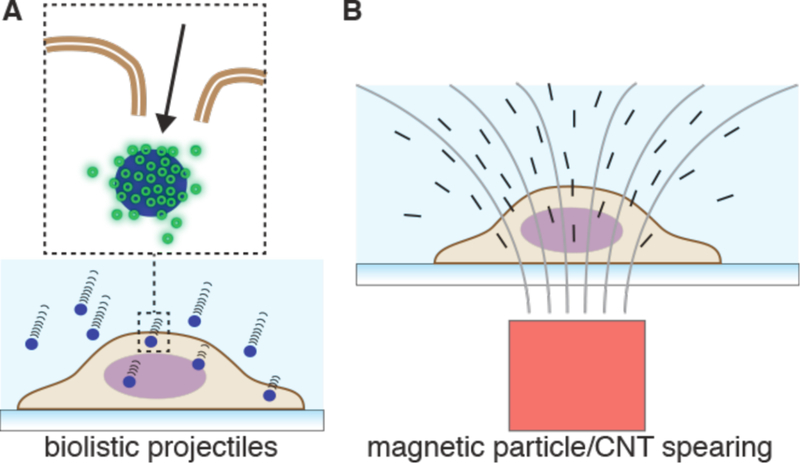 Figure 13.