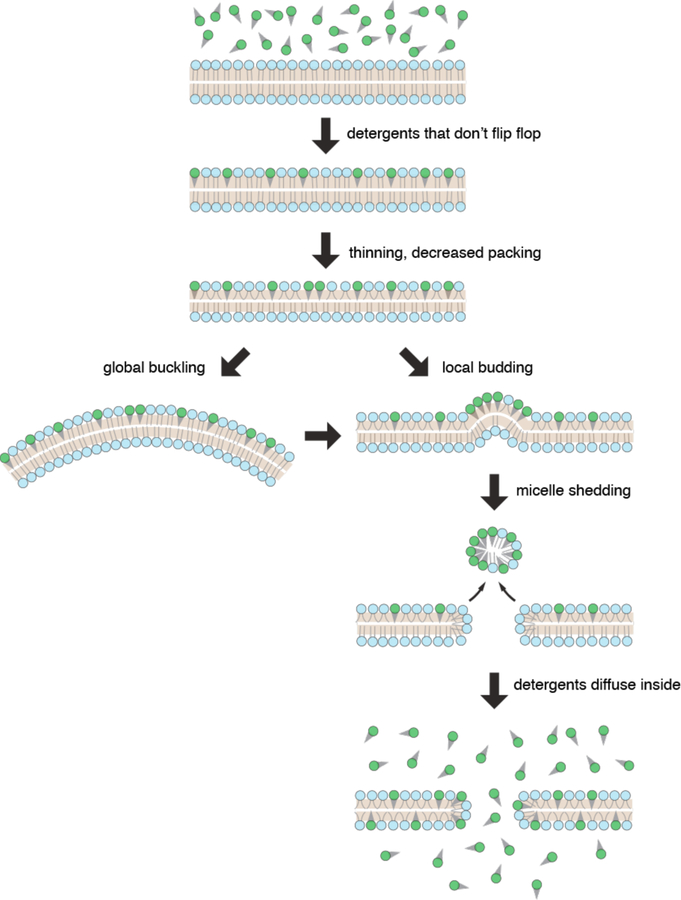 Figure 33.