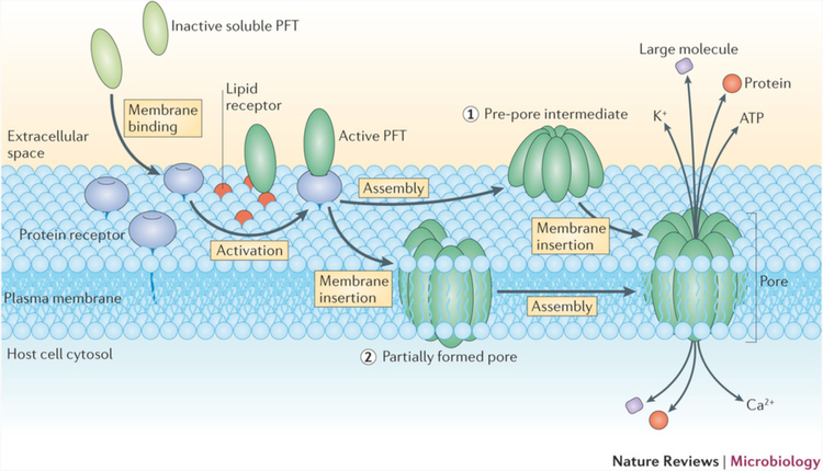 Figure 39.