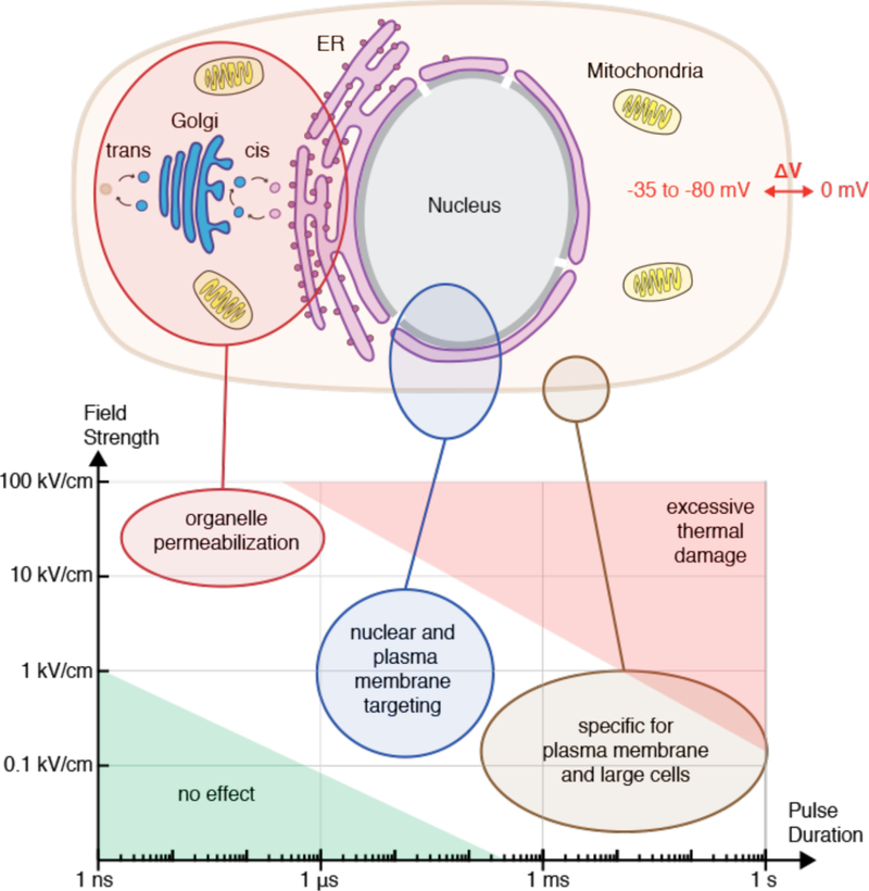 Figure 22.