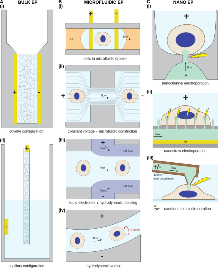 Figure 27.