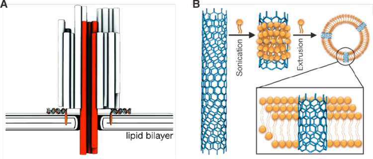 Figure 42.