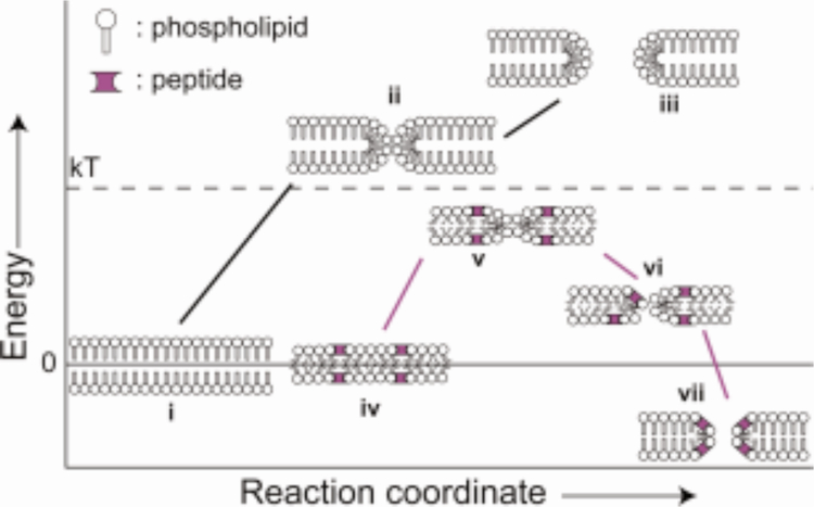 Figure 38.