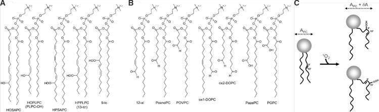 Figure 41.