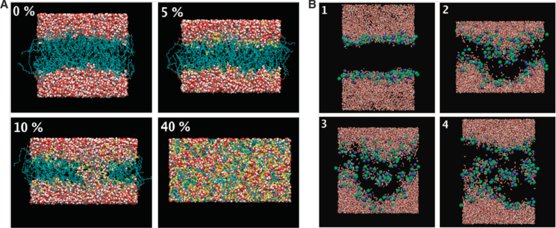 Figure 31.