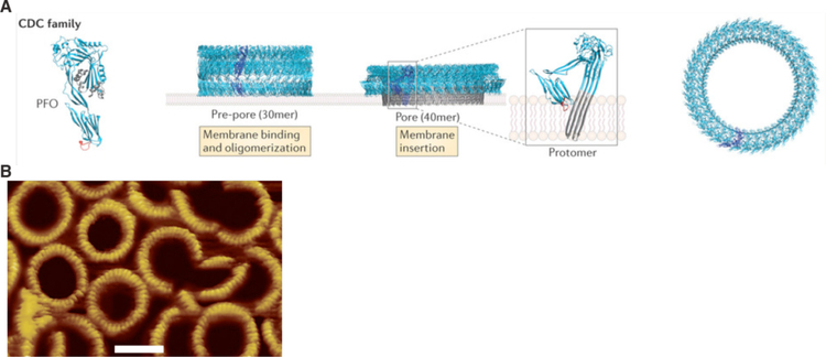 Figure 40.