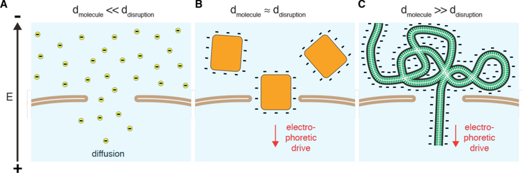 Figure 25.