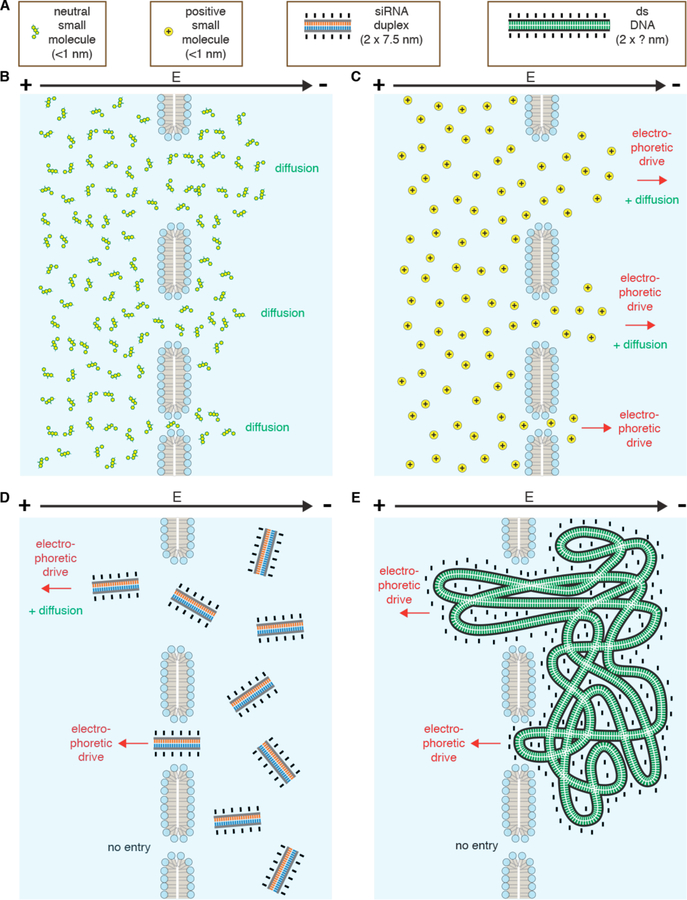 Figure 23.