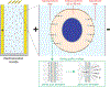 Figure 21.