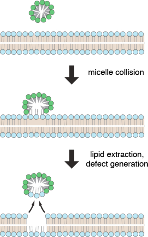 Figure 34.