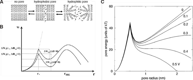 Figure 20.