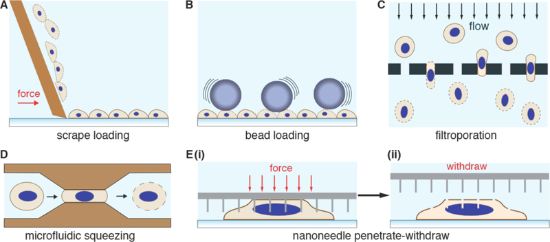 Figure 15.