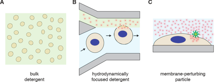 Figure 36.