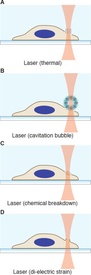 Figure 30 |