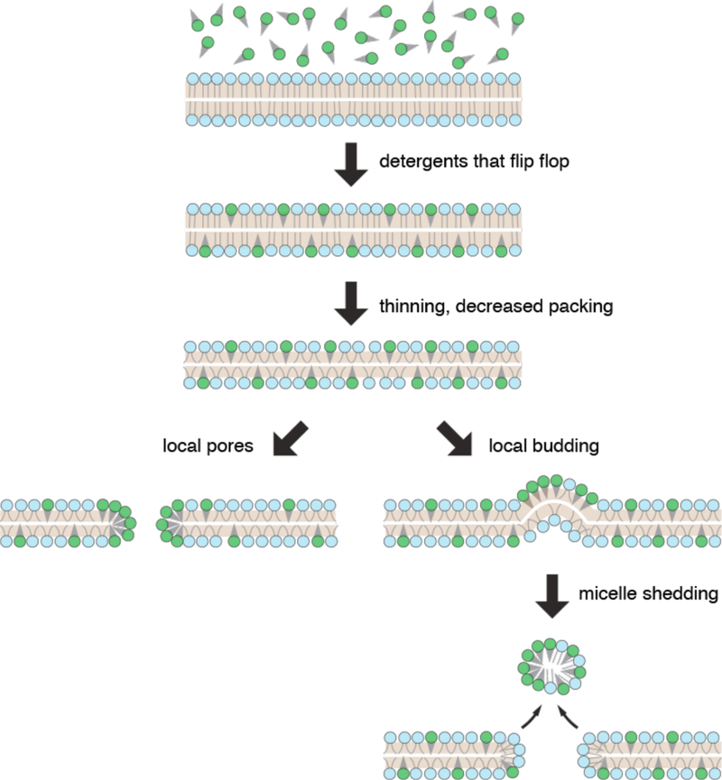 Figure 32.