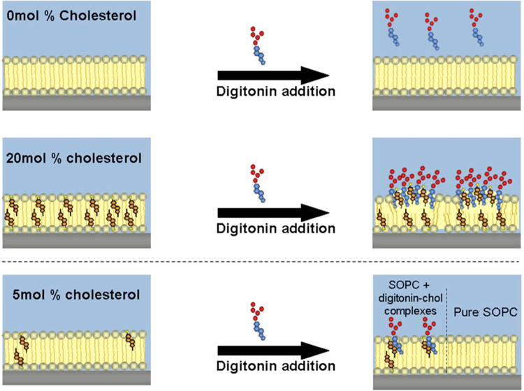 Figure 35.