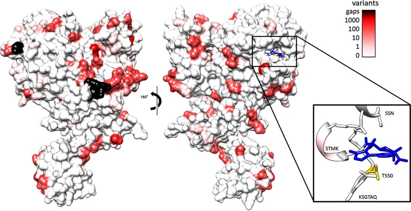 FIG 1